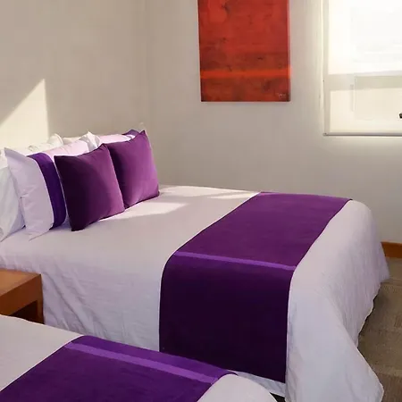 Hotel Lois Express Monterrey Aeropuerto La Fe-3